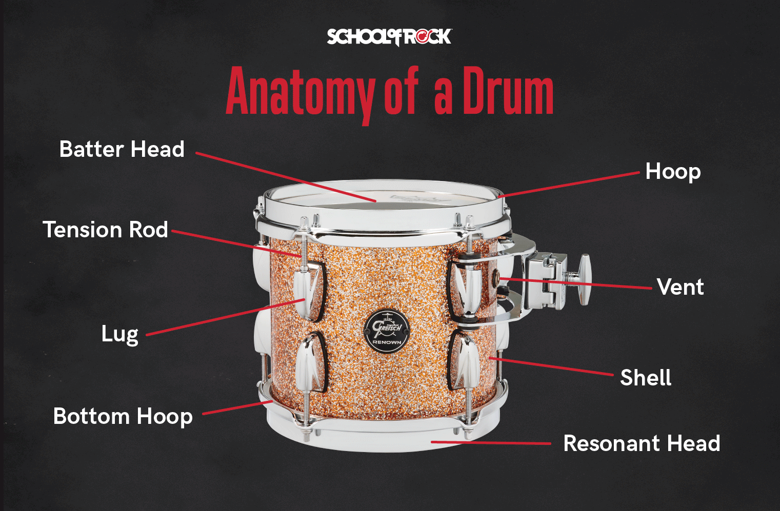 Parts of drum anatomy include the batter and resonant heads, hoops, tension rod, lug, vent and shell.