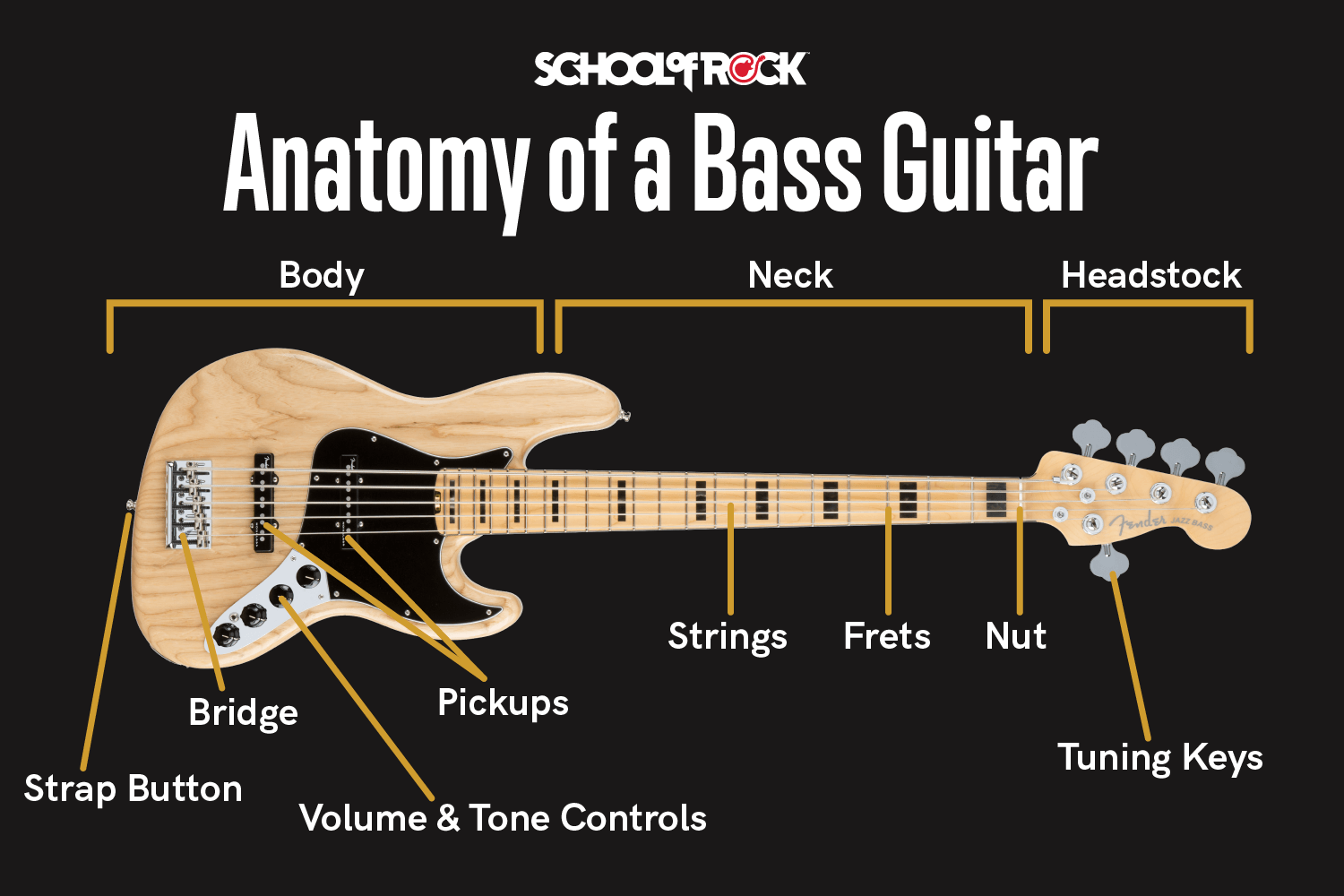 anatomy of bass guitar