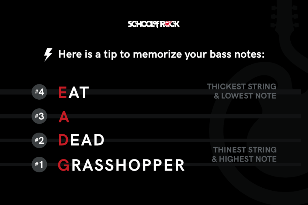 tip to memorize your bass notes Eat A Dead Grasshopper