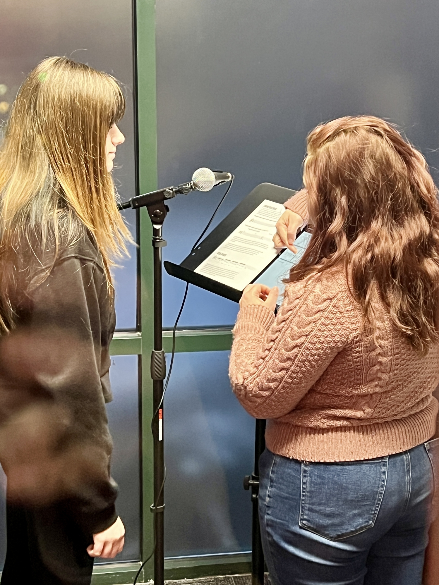 Vocal Lessons