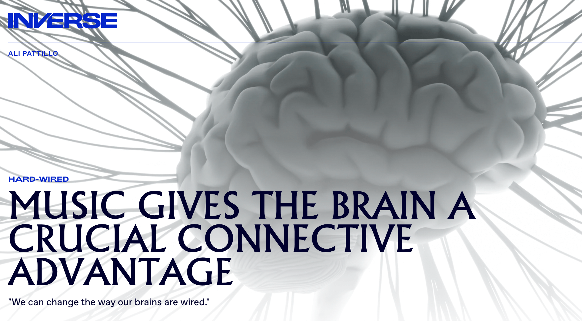 Learning an Instrument can Change the Brain