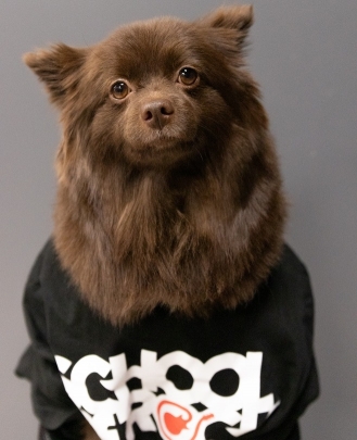 Chief Barketing Officer Roxanne 